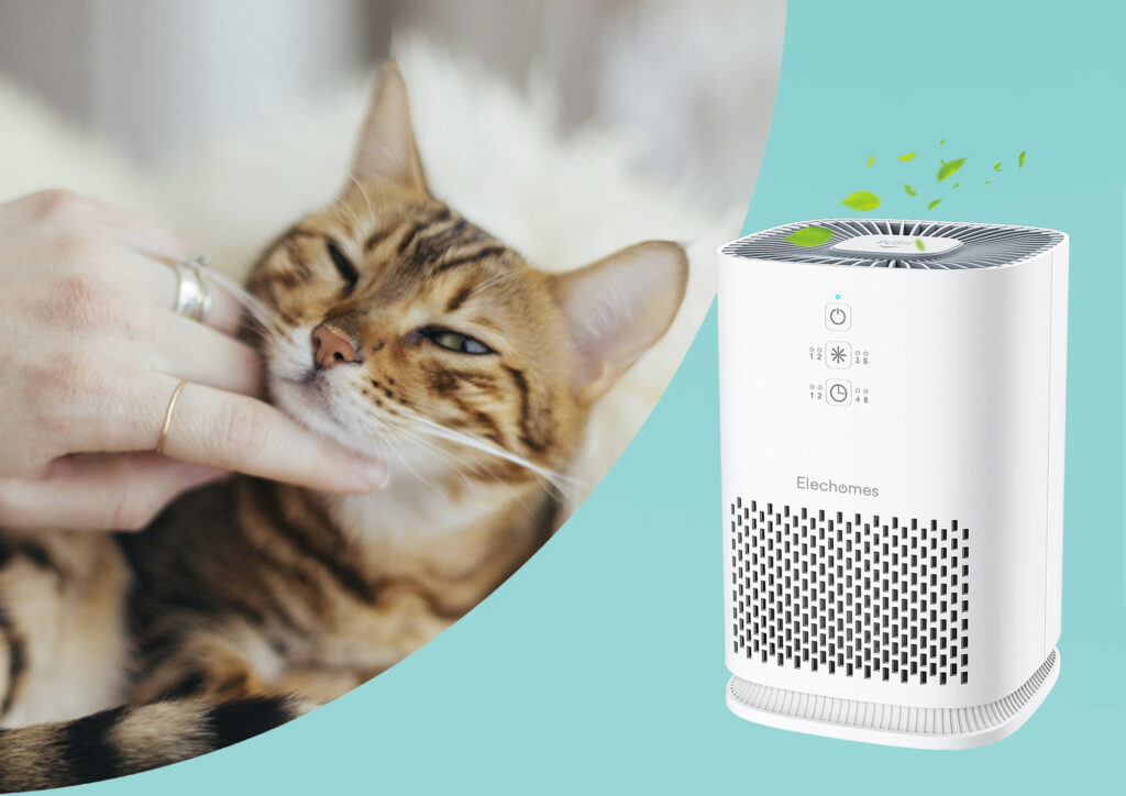 Can Air Purifiers Aid in Pet Allergies