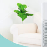 Best Air Purifiers under 50