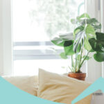 How To Improve Indoor Air Quality in Your Home